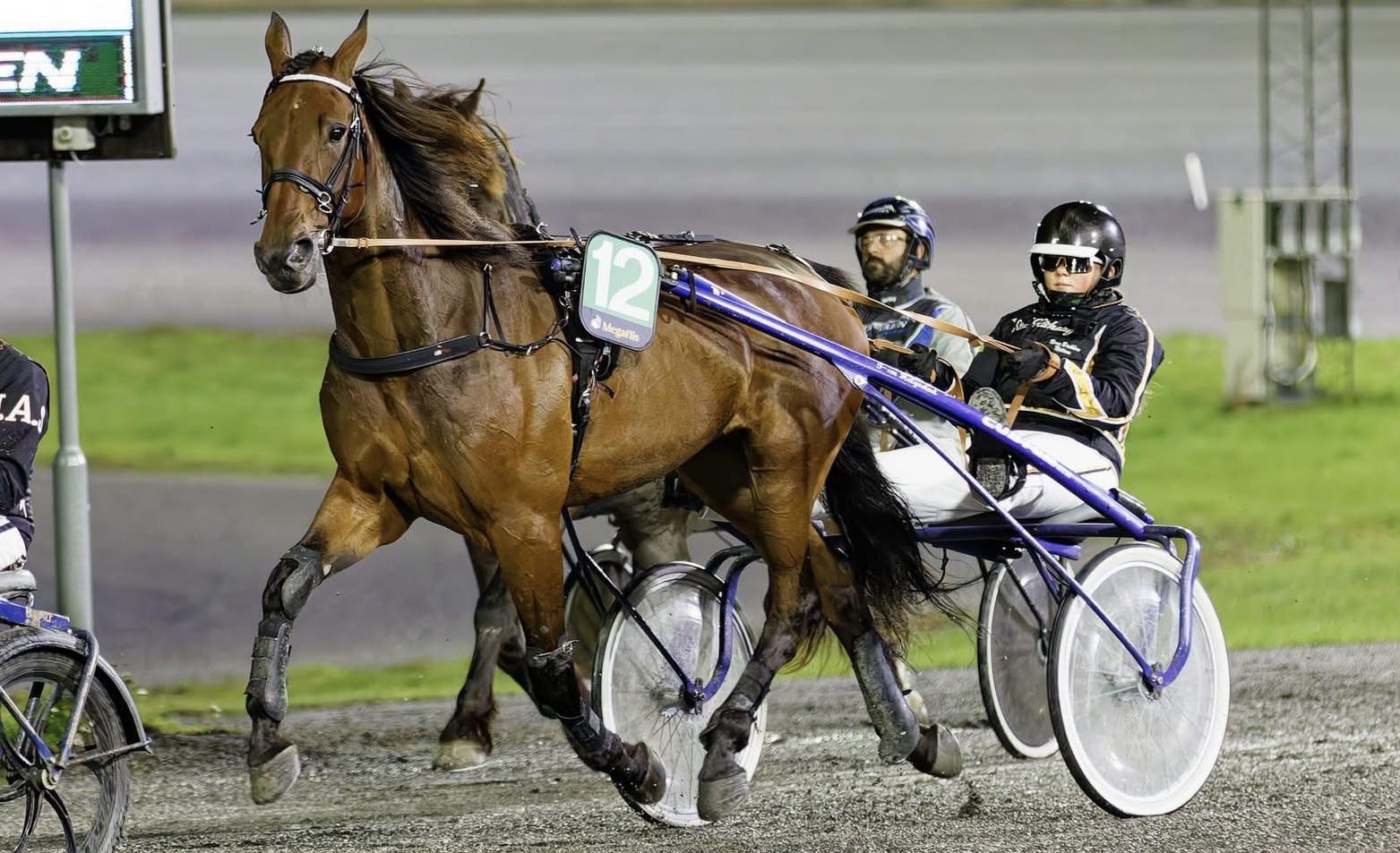 Nora Brekken Nettum profilbilde FBw.jpg