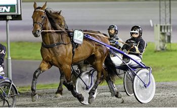 Nora Brekken Nettum profilbilde FBw.jpg