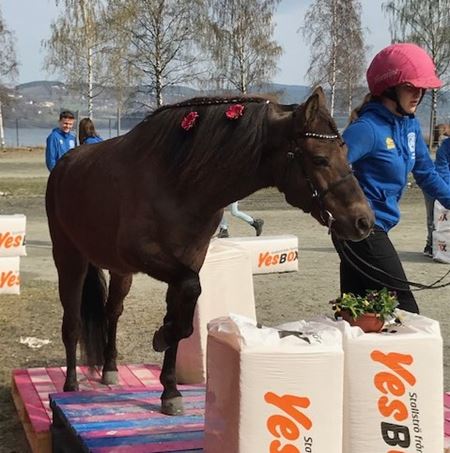 Trekamp lørdag ag.jpg