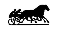 Hadeland travselskap.jpg