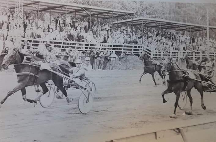 Vikodden - fra nett.jpg