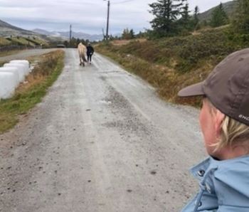 Silje rosenberg veg.jpg